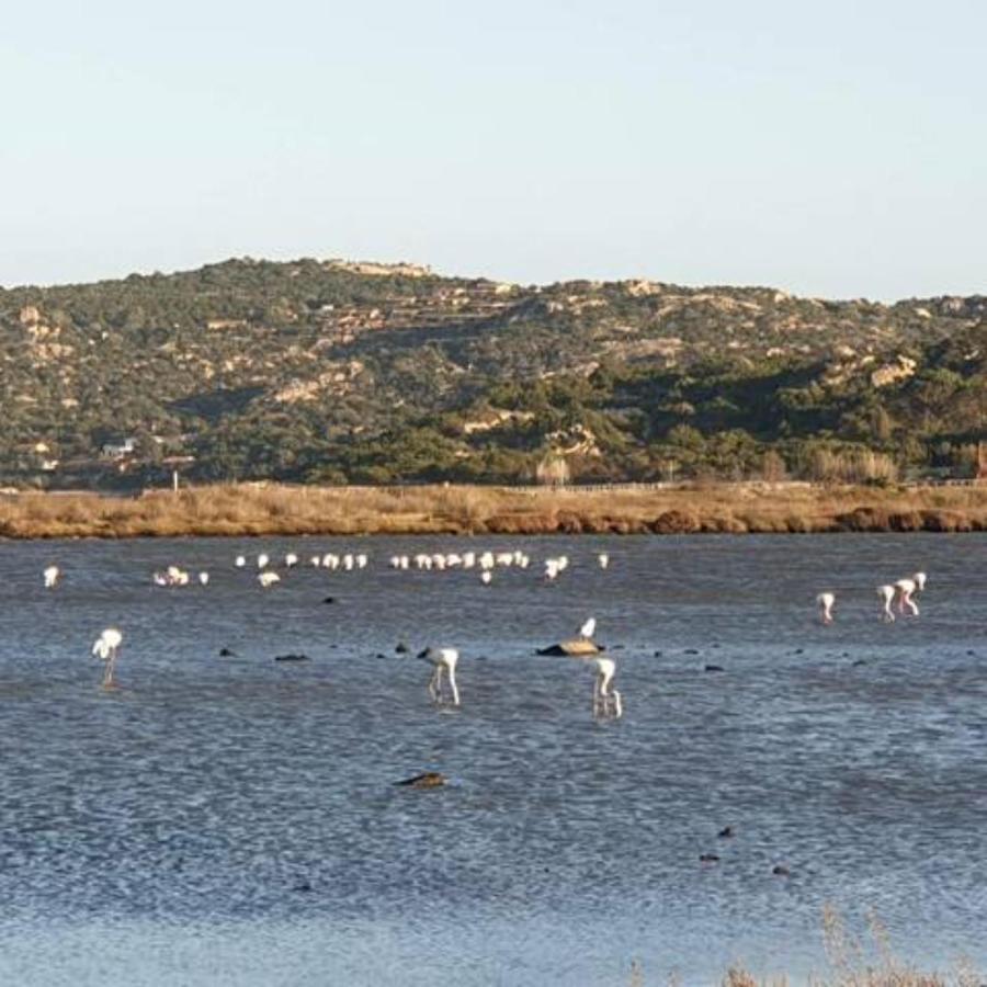 Appartamento Vasiliki Porto San Paolo  Exteriér fotografie