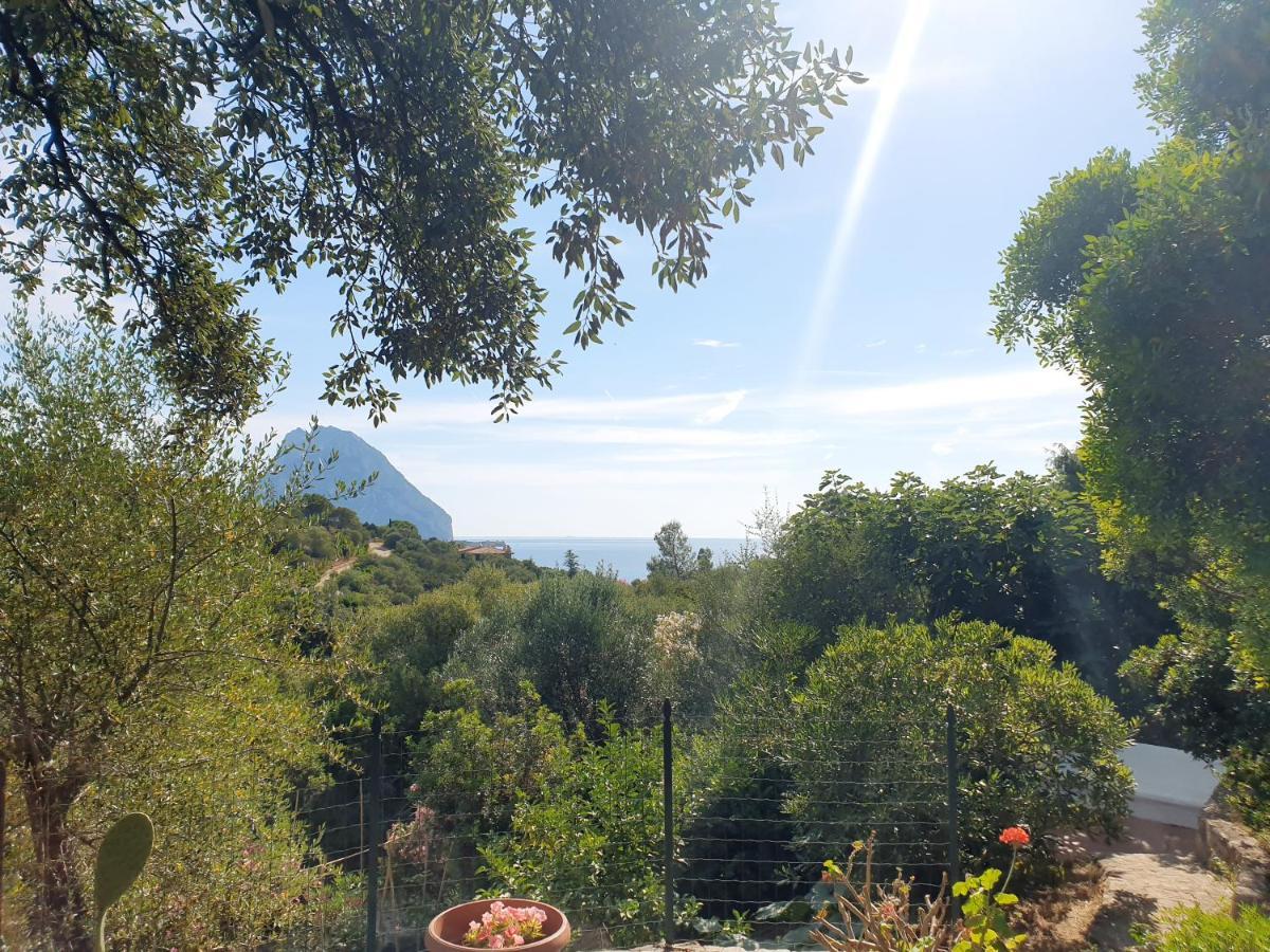 Appartamento Vasiliki Porto San Paolo  Exteriér fotografie