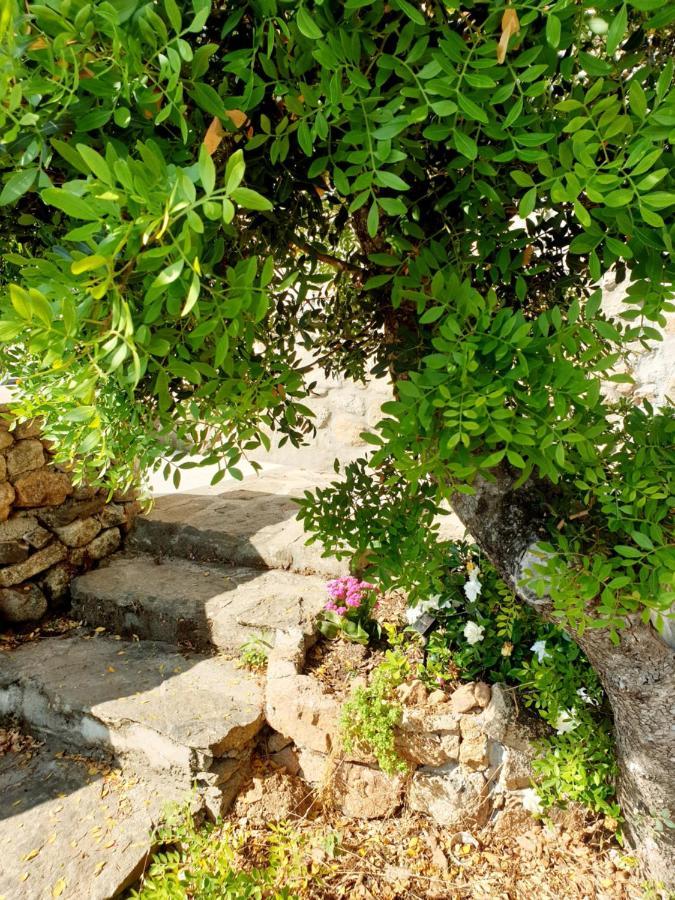 Appartamento Vasiliki Porto San Paolo  Exteriér fotografie